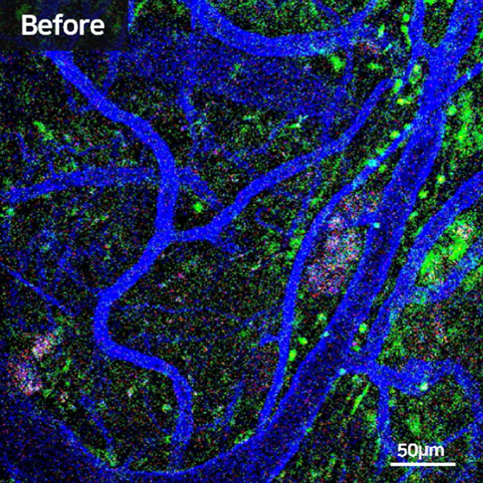 The Research Challenge